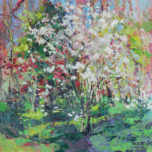 Blossom in the Wood a Sylvia  Paul