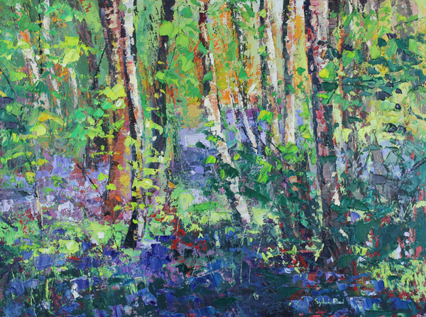 Bluebells and Dancing Leaves a Sylvia  Paul