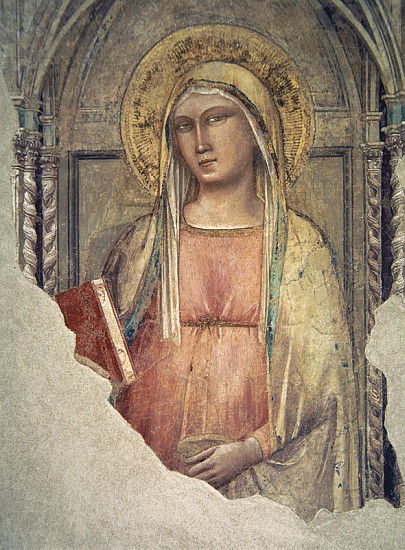 Madonna del Parto a Taddeo Gaddi