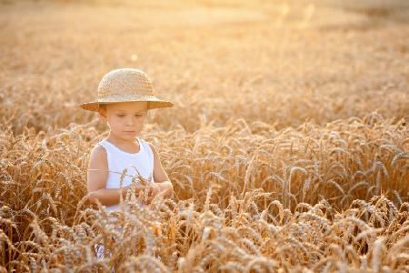 Harvesting