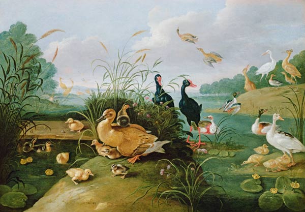 Decorative fowl and ducklings a the Elder Kessel