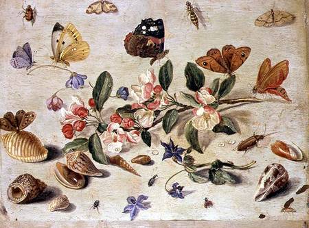 A Study of Flowers and Insects a the Elder Kessel