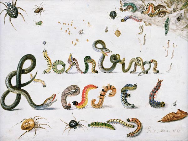 Garden and other spiders, caterpillars spell the artist''s name, 1657 (oil on copper) a the Elder Kessel Jan van