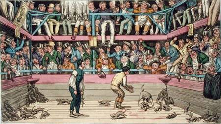 The Celebrated Dog Billy Killing 100 Rats at the Westminster Pit, from 'Anecdotes, Original and Sele a Theodore Lane