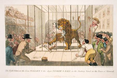 The Fight between the Lion Wallace and the Dogs Tinker and Ball in the Factory Yard in the Town of W a Theodore Lane