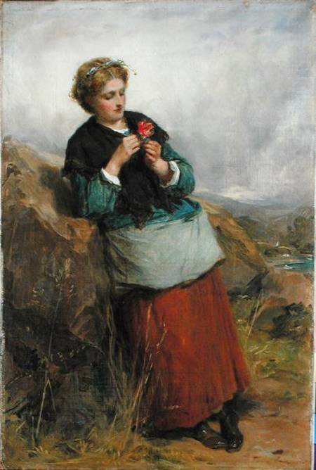 The Flower of Dunblane a Thomas Faed
