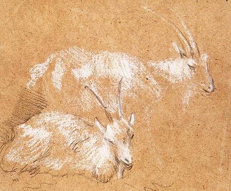 Study of Goats a Thomas Gainsborough