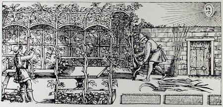 Arbour being built as a shade against the sun, from 'The Gardener's Labyrinth' a Thomas Hill