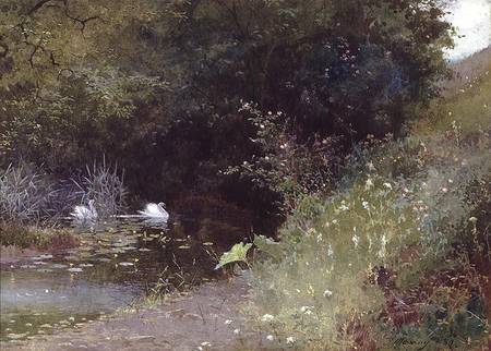 Swans on a Lake a Thomas Mackay