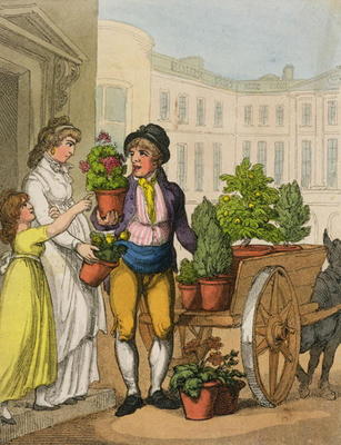 Cries of London: The Garden Pot Seller, 1799 (colour aquatint) a Thomas Rowlandson