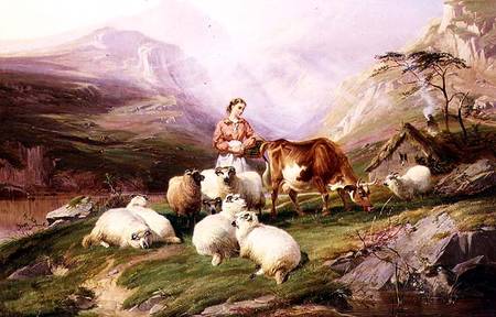Cow and Sheep on a Mountain Pasture a Thomas Sidney Cooper