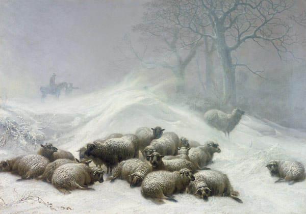 Sheep in a Snowstorm a Thomas Sidney Cooper
