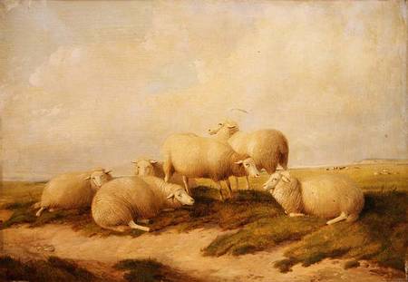 Sheep a Thomas Sidney Cooper