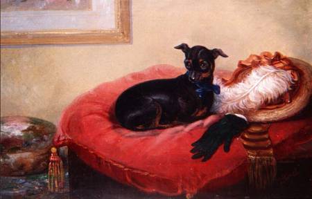 Her Favourite Pet: a Manchester Terrier on a red cushion a Thomas Smythe