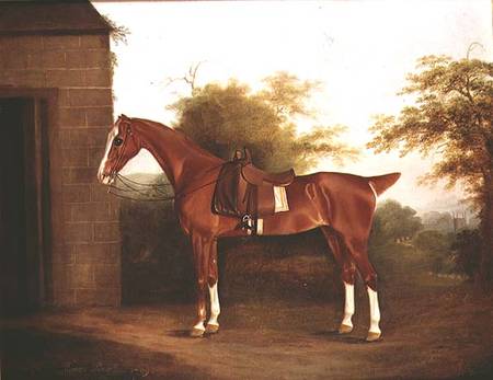 Horse with side saddle a Thomas Weaver
