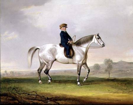 Master Edward Humphries on his Grey Pony a Thomas Weaver