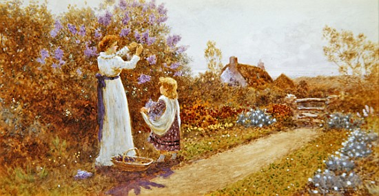 Lilacs a Thomas James Lloyd