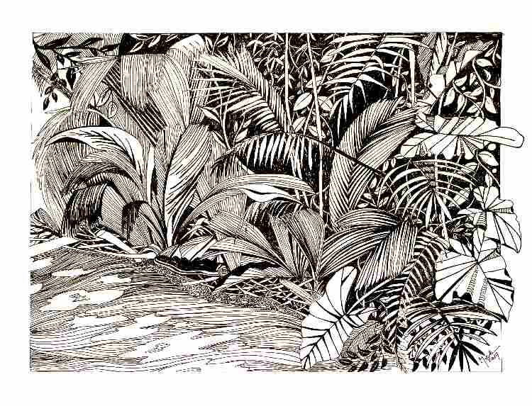 Palm Forest a Brigitte Thonhauser-Merk
