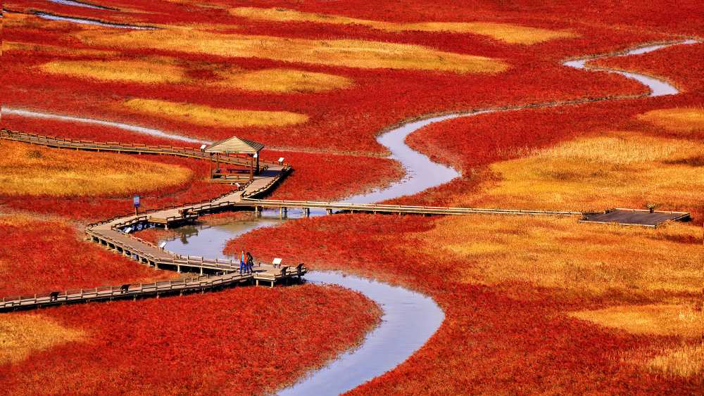 salt pond a Tiger Seo