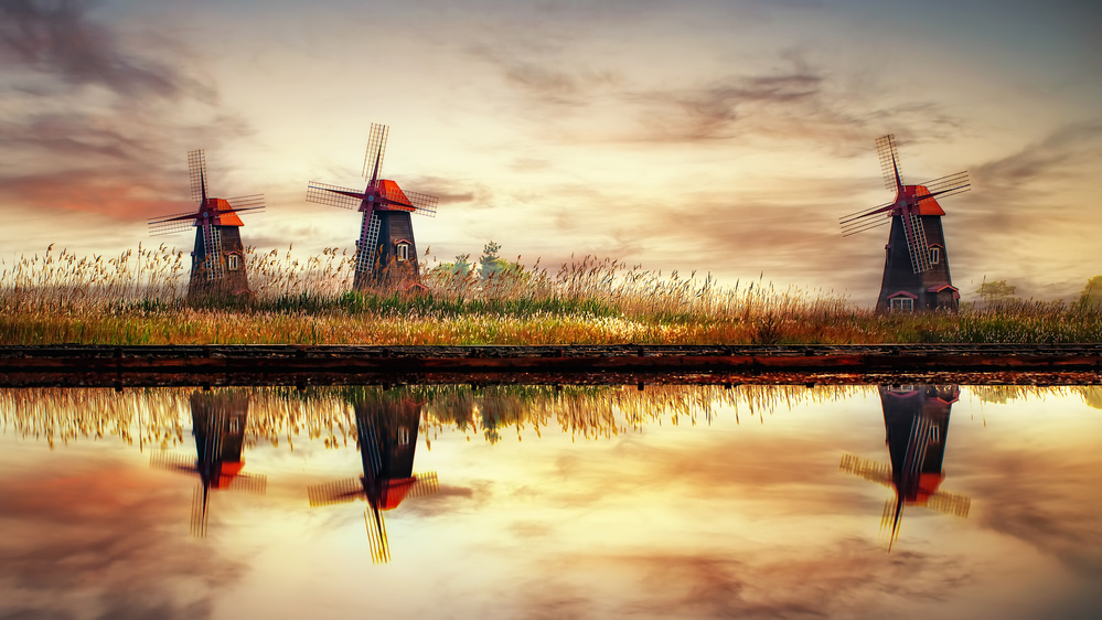 windmills on salt pond a Tiger Seo