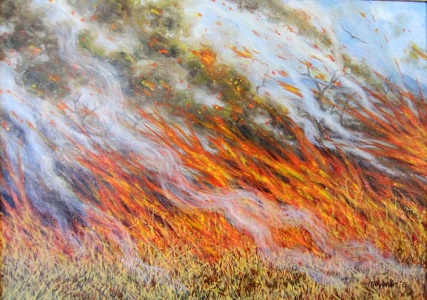Bushfire Inferno a Tilly  Willis