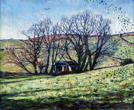 Crows Rising a Tilly  Willis