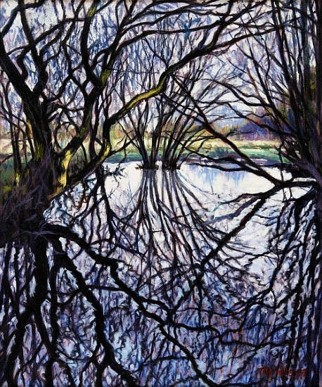 Pond Reflections a Tilly  Willis