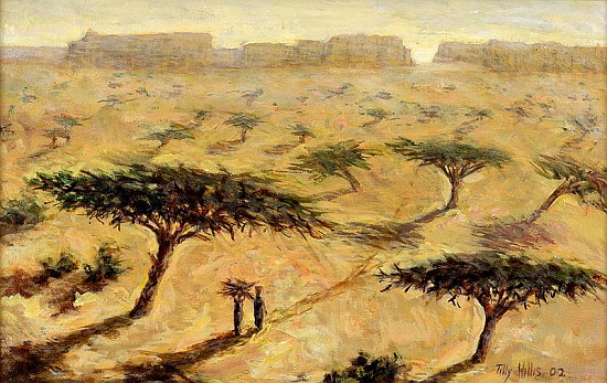 Sahelian Landscape, 2002 (oil on canvas)  a Tilly  Willis