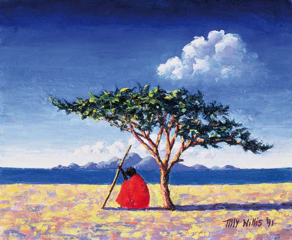 Under the Acacia Tree a Tilly  Willis
