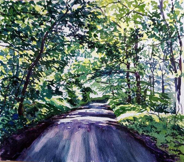 Woodland Road a Tilly  Willis