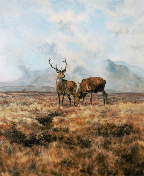 Red Stags, Ben Buie, 1982  a Tim  Scott Bolton