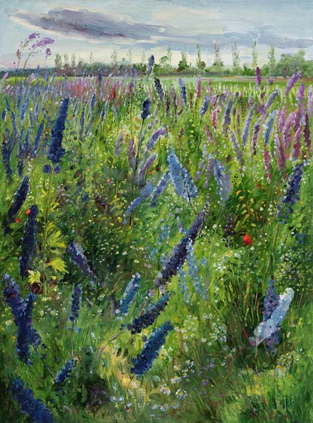Delphiniums and Emerging Sun, 1991  a Timothy  Easton