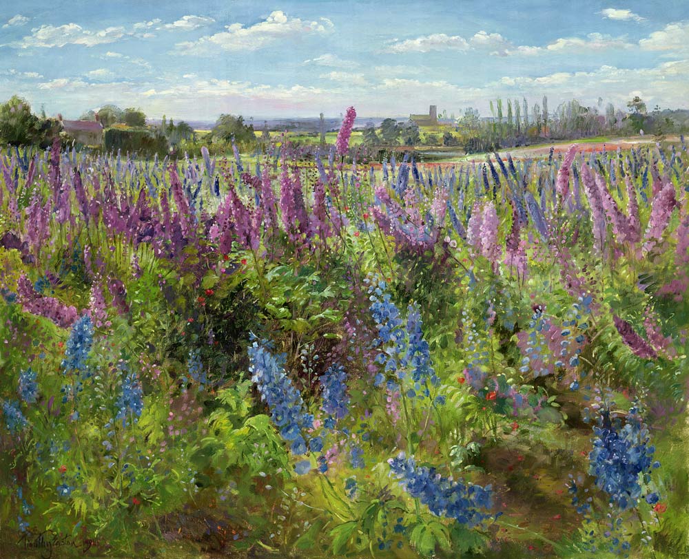 Delphiniums and Poppies, 1991  a Timothy  Easton