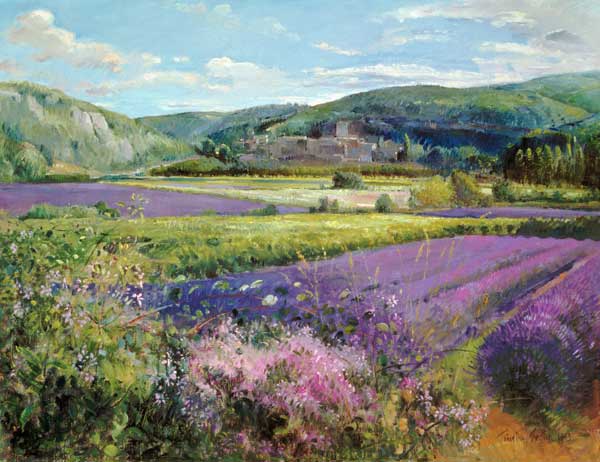 Lavender Fields in Old Provence (oil on canvas)  a Timothy  Easton