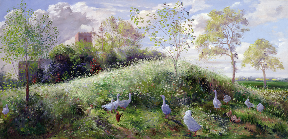 Mount in May  a Timothy  Easton
