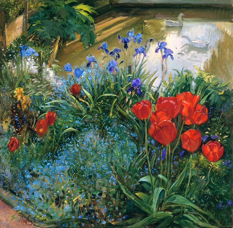Red Tulips and Geese (oil on canvas)  a Timothy  Easton