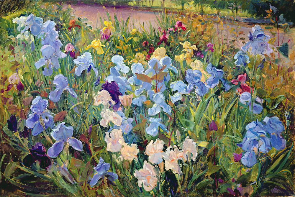 The Iris Bed, 1993  a Timothy  Easton
