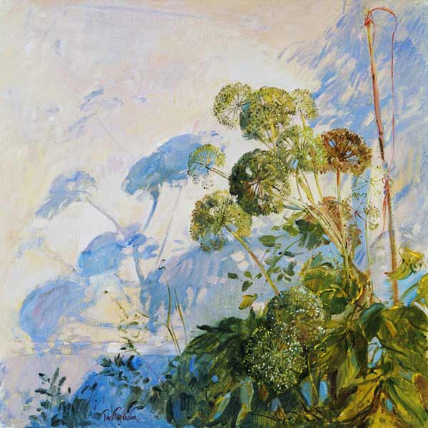 Angelica Shadows (oil on canvas)  a Timothy  Easton
