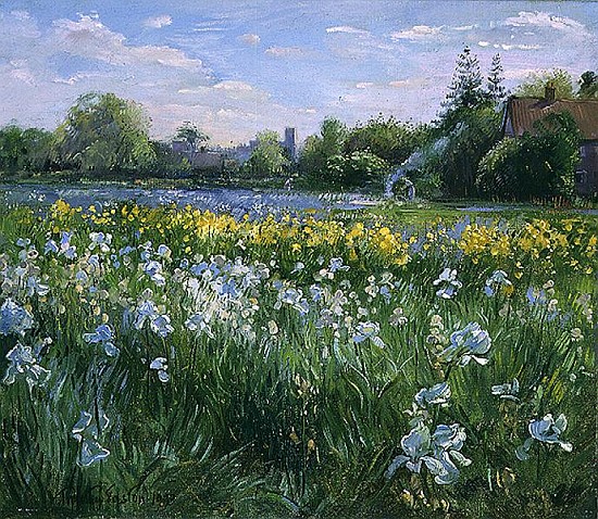 Bonfire and Iris Field, 1993  a Timothy  Easton