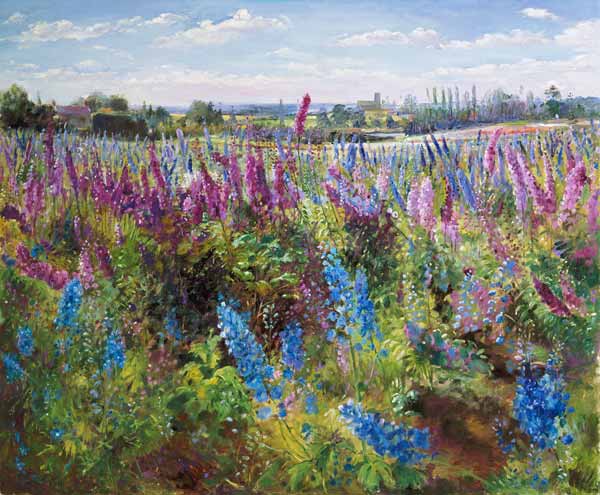 Delphinium Field and Church  a Timothy  Easton