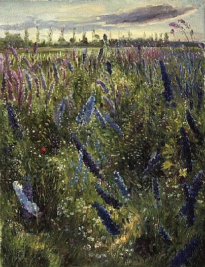 Delphiniums and Emerging Sun a Timothy  Easton