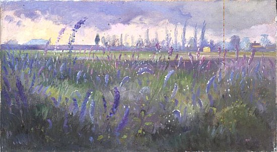Delphiniums and Passing Storm a Timothy  Easton