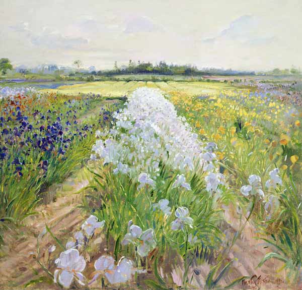 Down the Line, 1995 (oil on canvas)  a Timothy  Easton