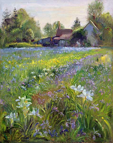 Dwarf Irises and Cottage, 1993  a Timothy  Easton