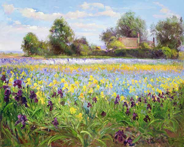 Farmstead and Iris Field, 1992  a Timothy  Easton
