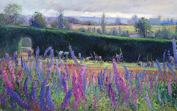Hoeing Against the Hedge, 1991  a Timothy  Easton