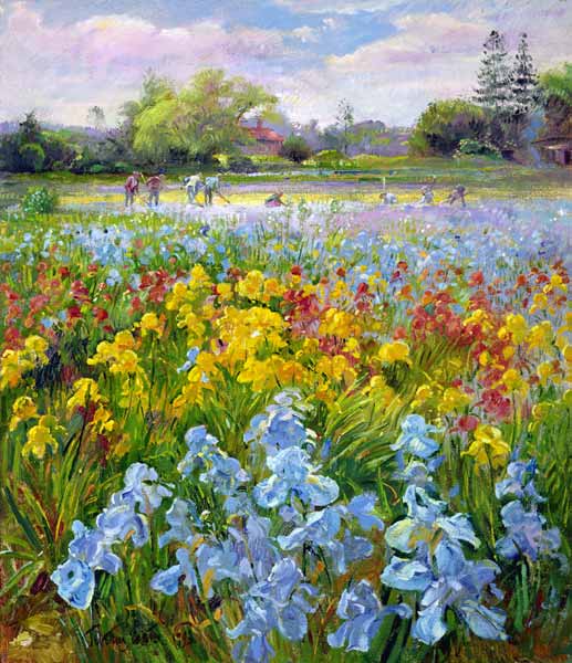 Hoeing Team and Iris Fields, 1993  a Timothy  Easton