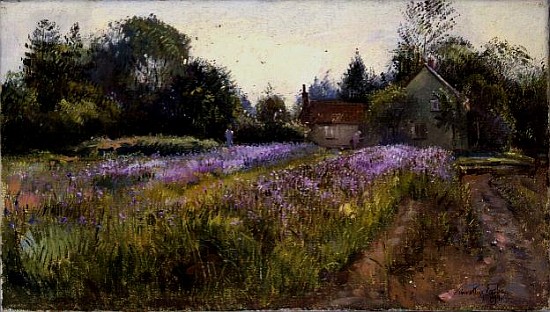 Iris Field and the Old Chapel, Burgate, 1994  a Timothy  Easton