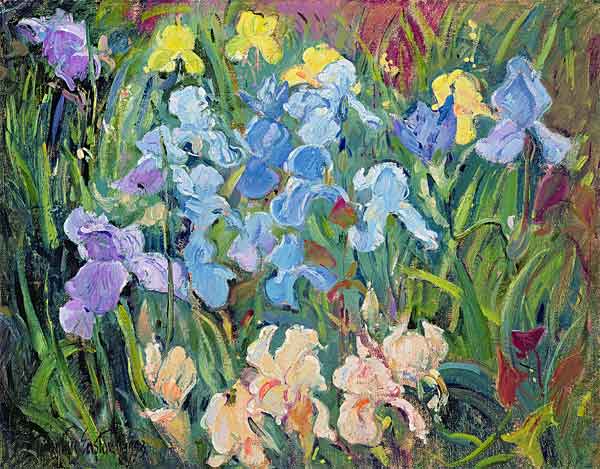 Irises: Pink, Blue and Gold, 1993  a Timothy  Easton