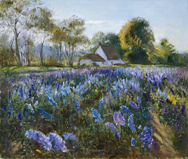 October Delphiniums (oil on canvas)  a Timothy  Easton